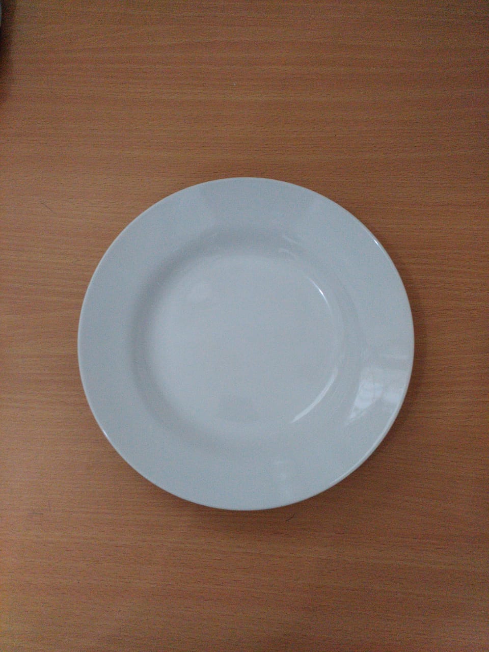 DINNER PLATE PLAIN 9″ (CERAMIC)/Piring polos 9″